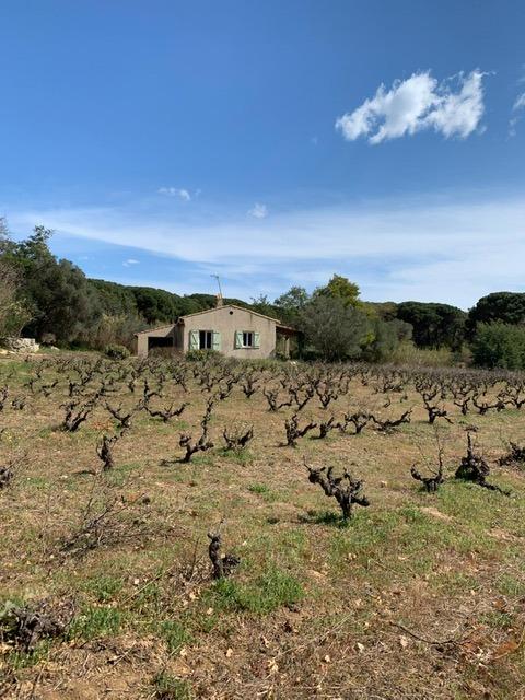 House à Ramatuelle