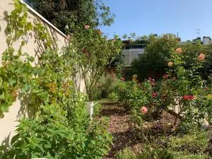 Appartement duplex avec jardin privatif