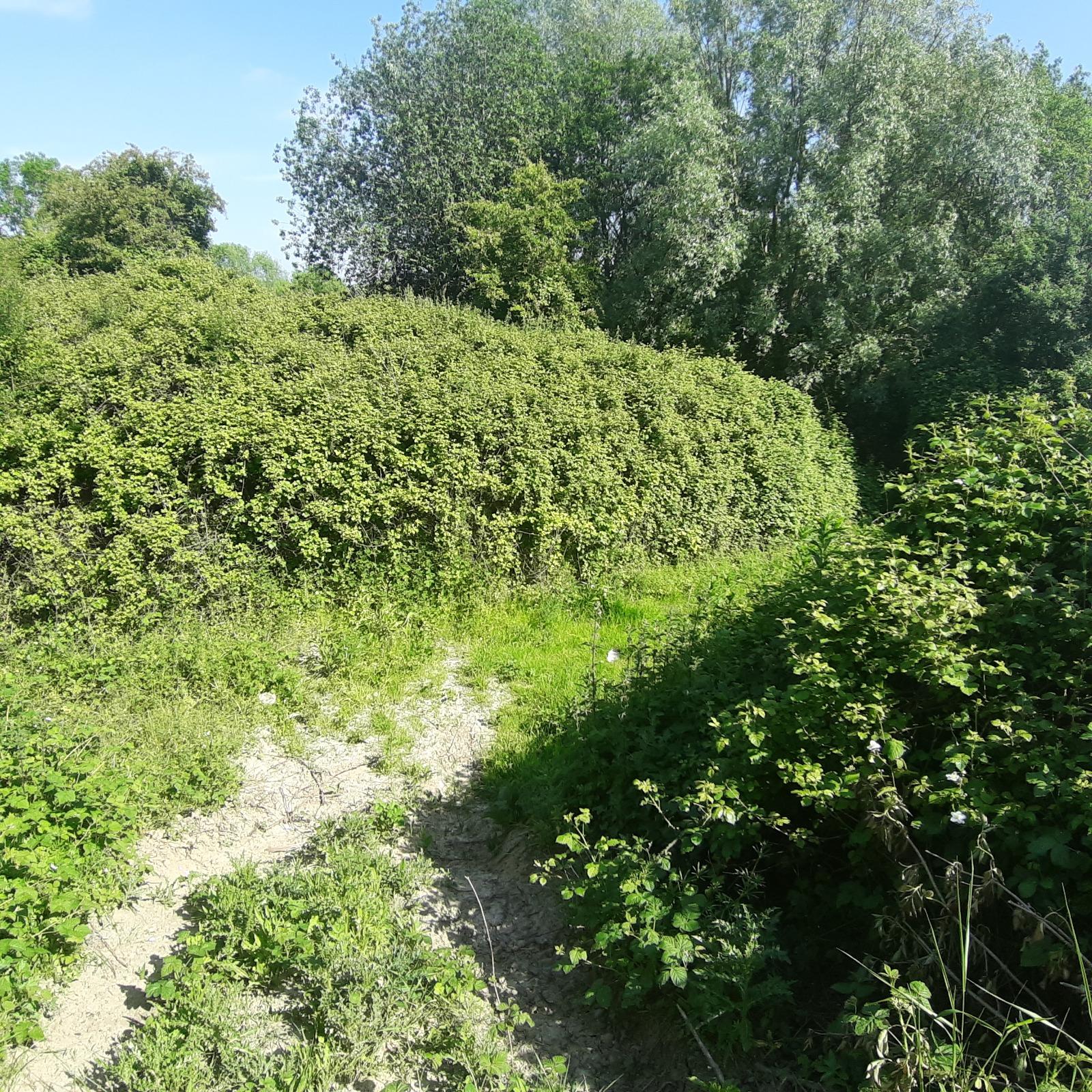 Parcelle insconstructible en état de friche d'une contenance de 2ha 21a 38ca