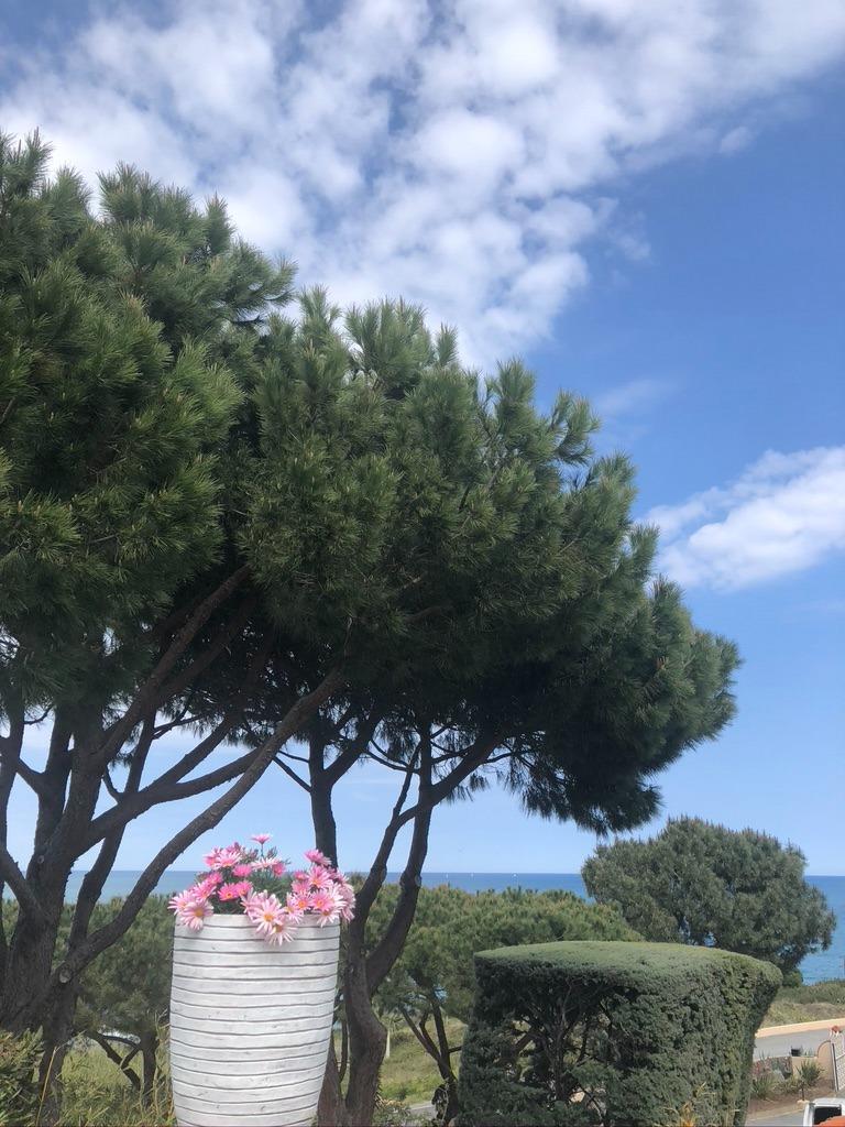 Building Plot à Argelès-sur-Mer