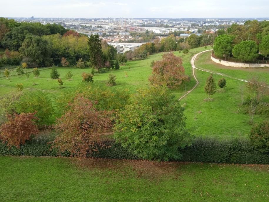 STUDIO PARC DU PALMER BORDEAUX