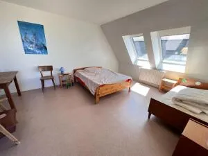 Estate à Arnac-Pompadour — vignette 15