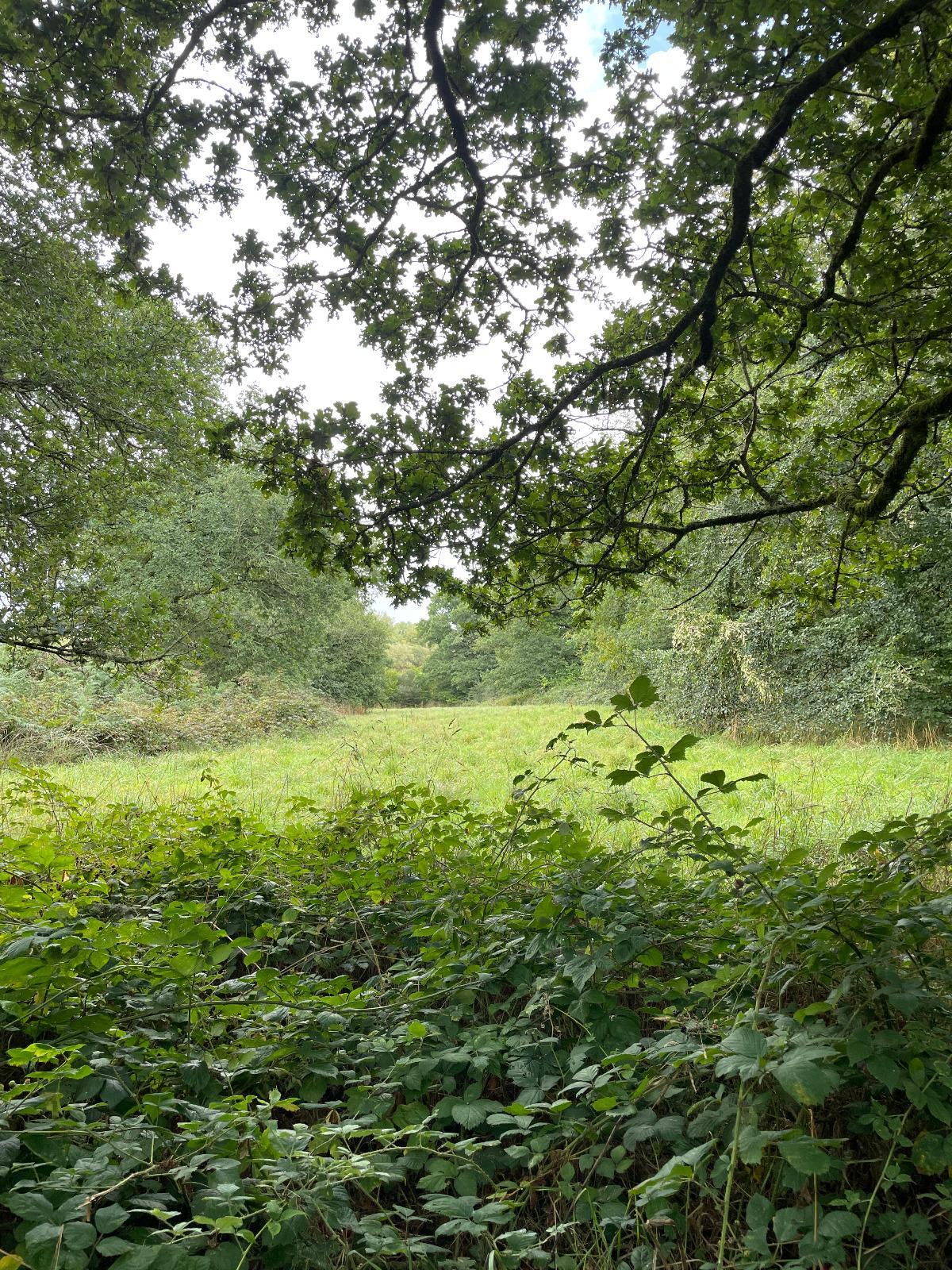 Leisure Land / Woods / Pond à Loqueffret — vignette 3