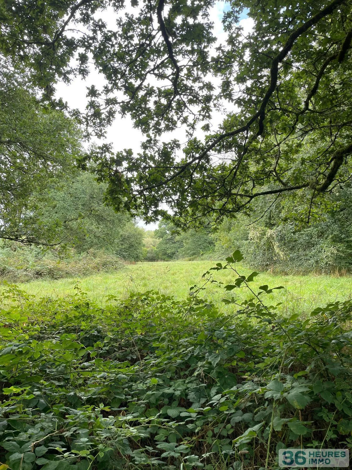 Leisure Land / Woods / Pond à Loqueffret — vignette 3
