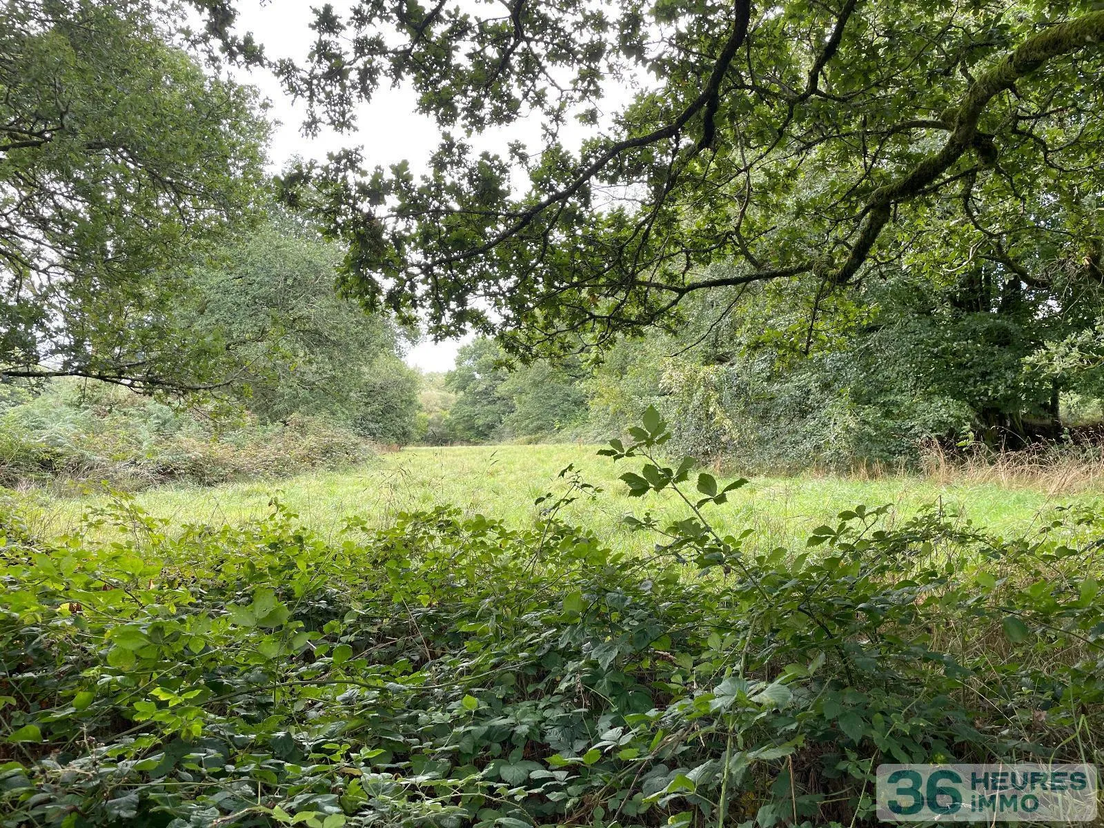 Leisure Land / Woods / Pond à Loqueffret — vignette 4