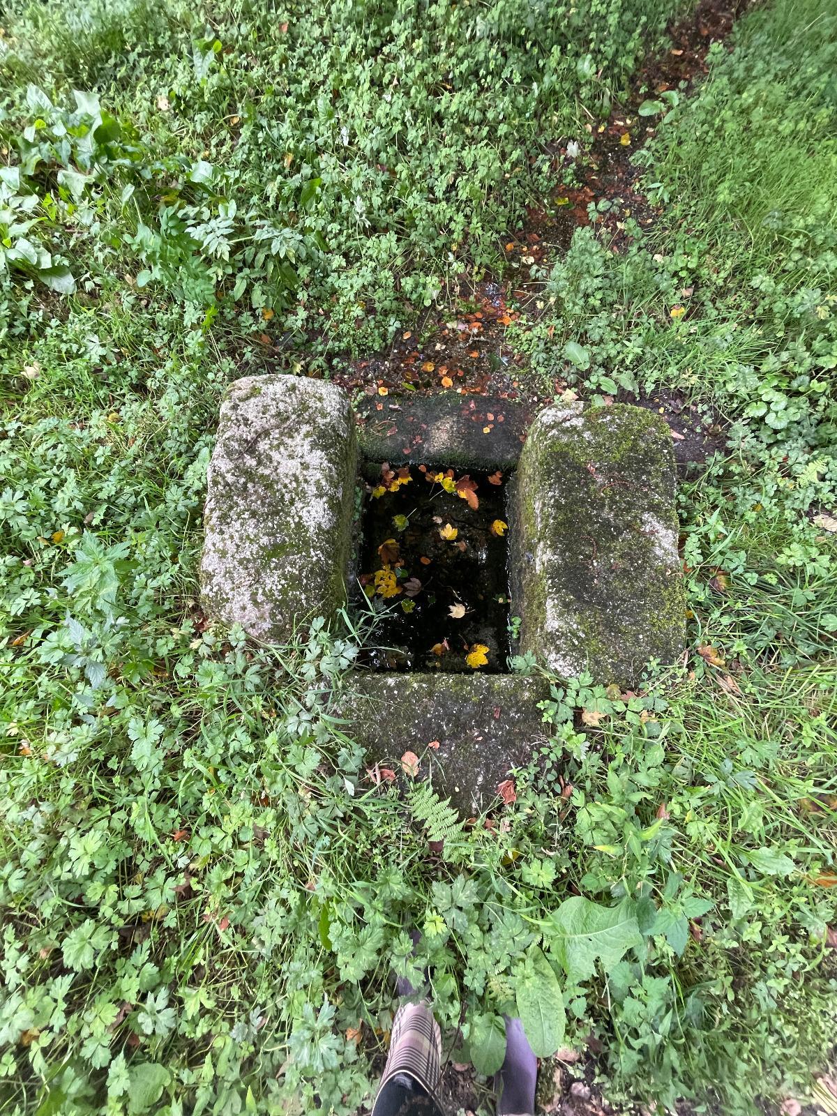 Leisure Land / Woods / Pond à Loqueffret — vignette 8
