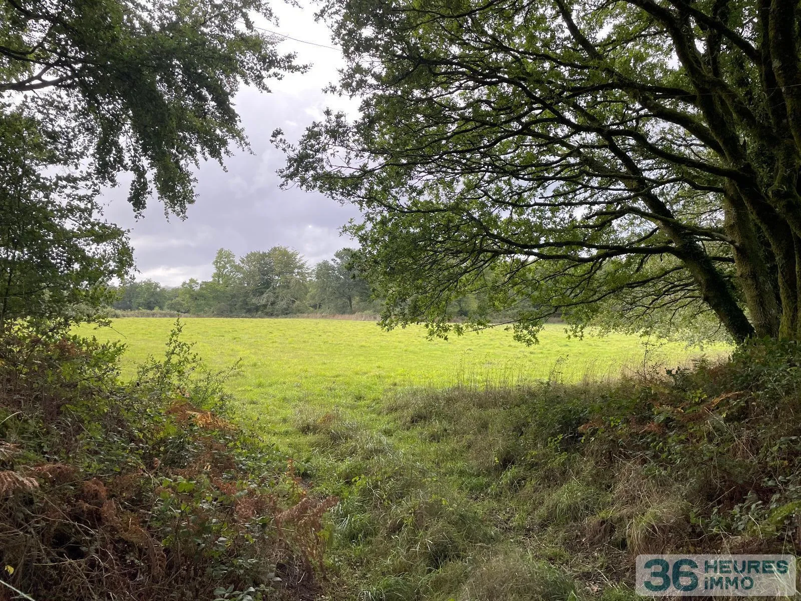 Leisure Land / Woods / Pond à Loqueffret — vignette 12