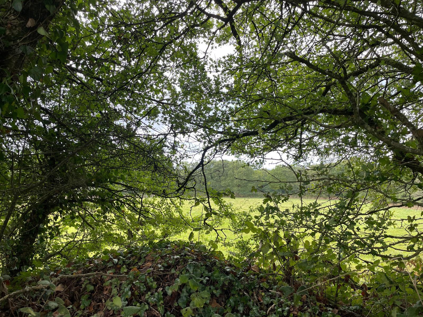 Leisure Land / Woods / Pond à Loqueffret — vignette 14