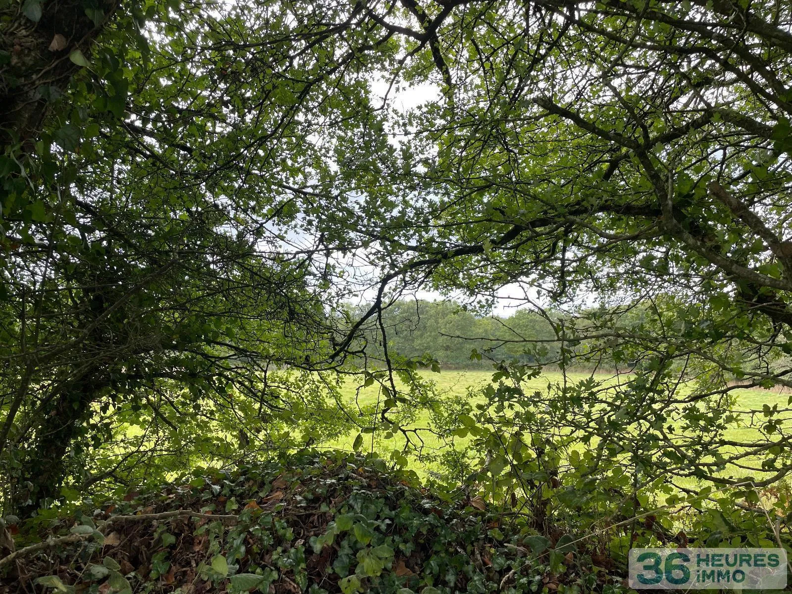 Leisure Land / Woods / Pond à Loqueffret — vignette 14