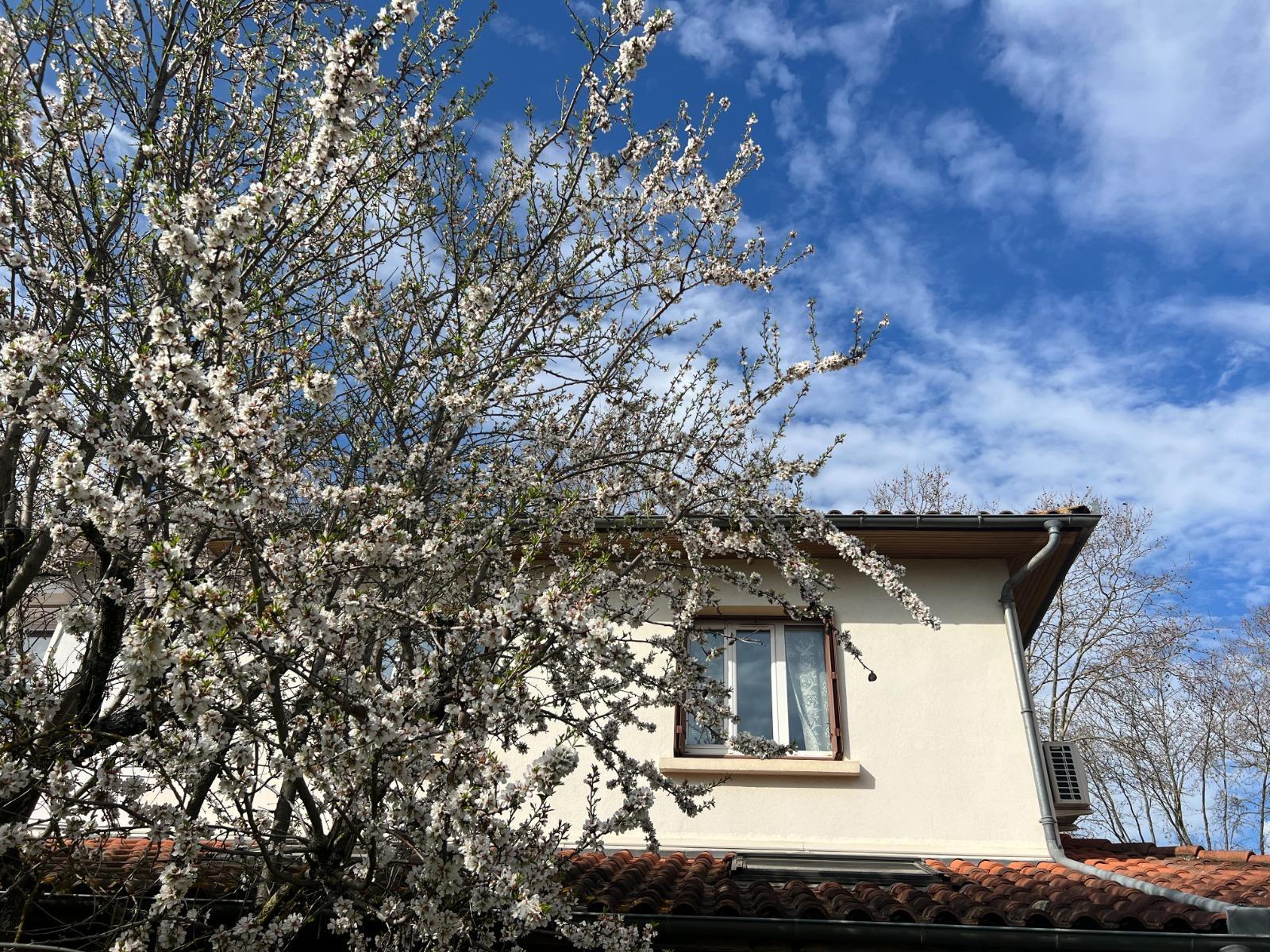 Maison à Colomiers — vignette 18