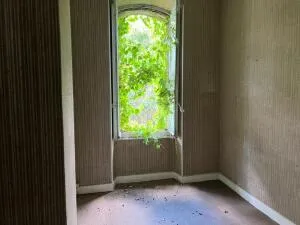 House à Carcassonne — vignette 7