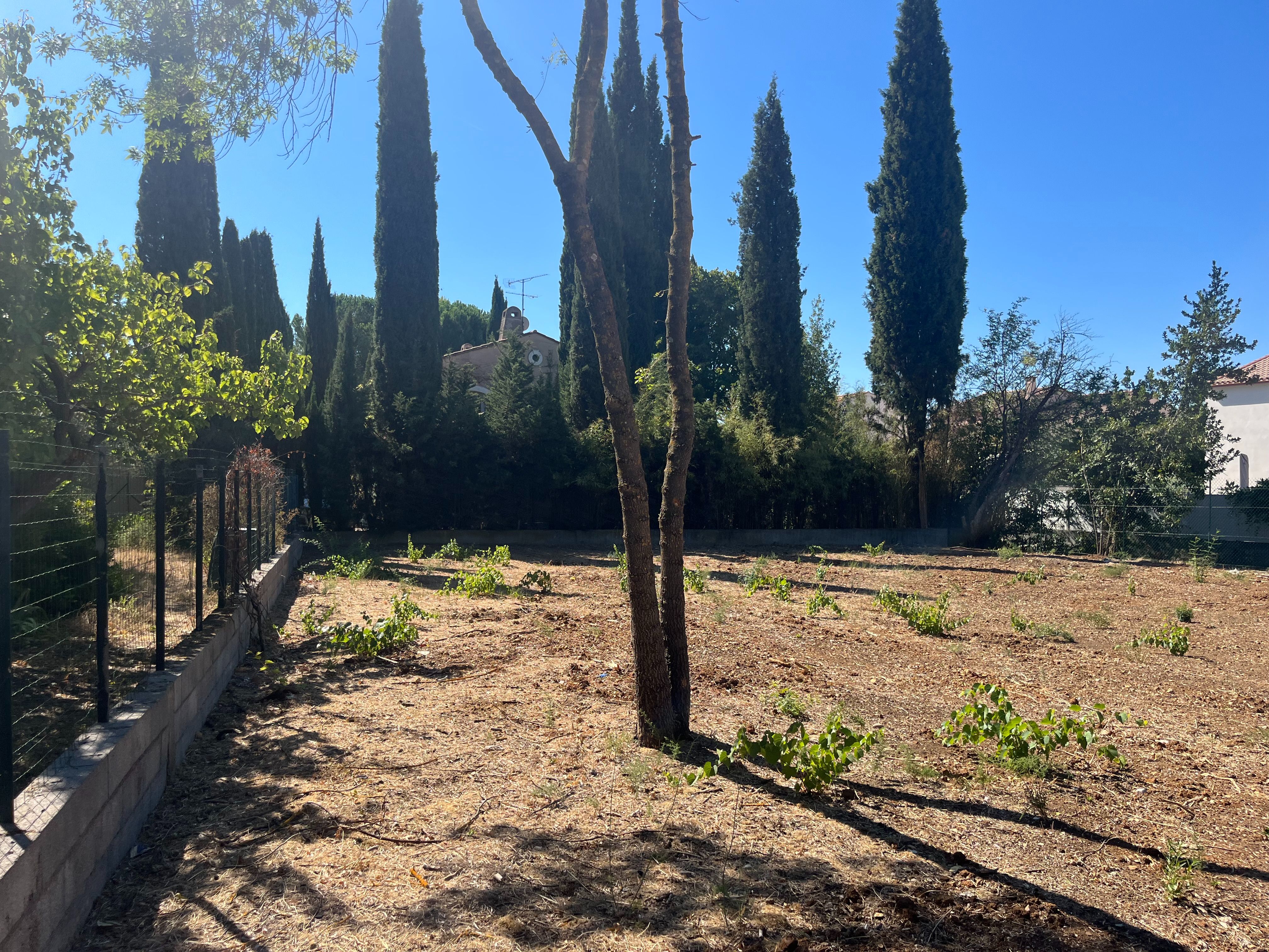 Building Plot à Juvignac — vignette 2