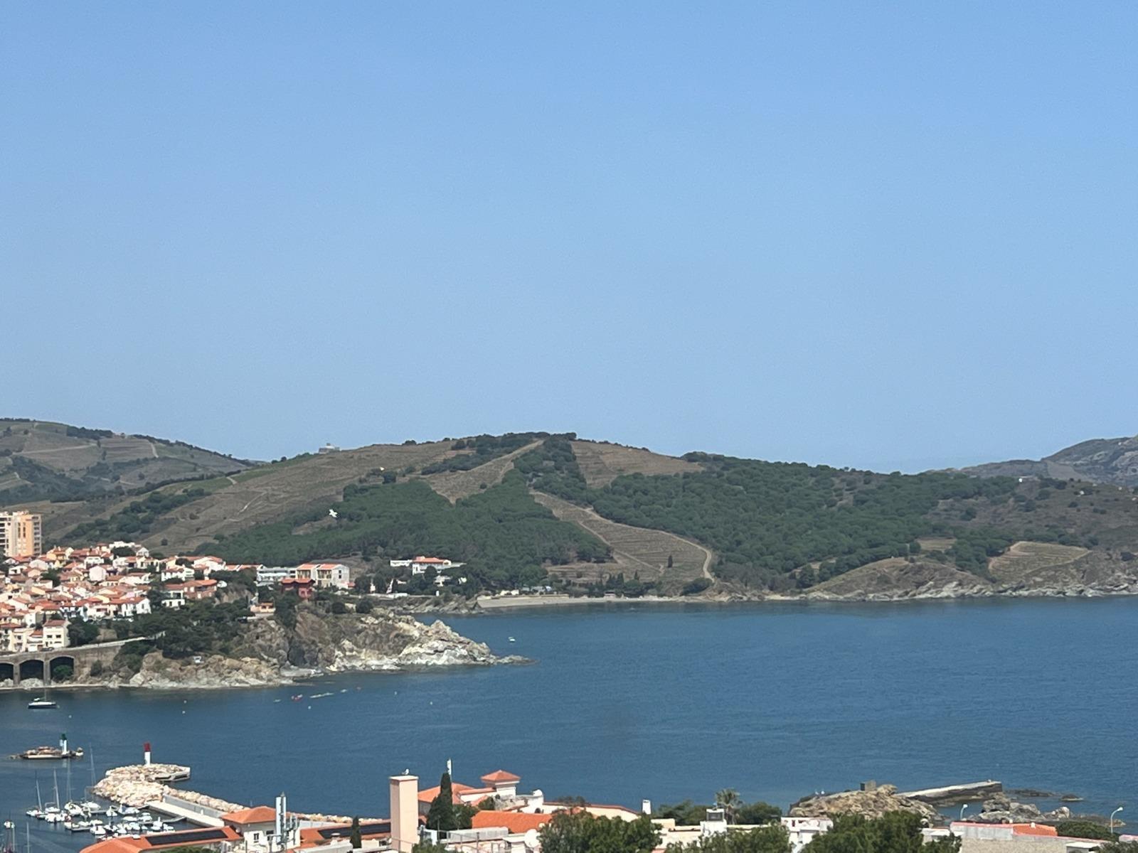 Appartement  t2 banyuls sur mer vue mer imprenable 