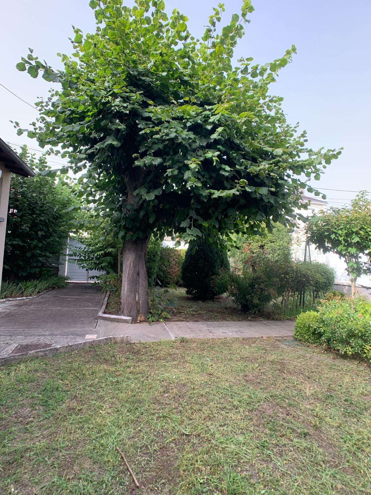 House à Périgueux — vignette 13