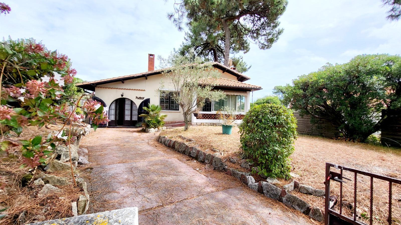 Maison à Arcachon — vignette 4