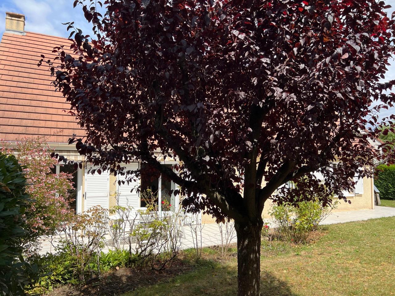 Maison à Bondoufle — vignette 13