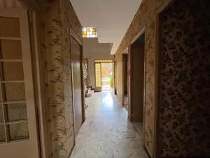 House à Toulouse — vignette 16
