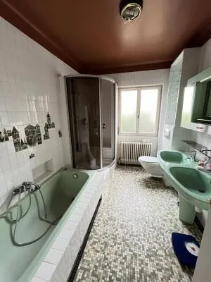 House à Delle — vignette 24