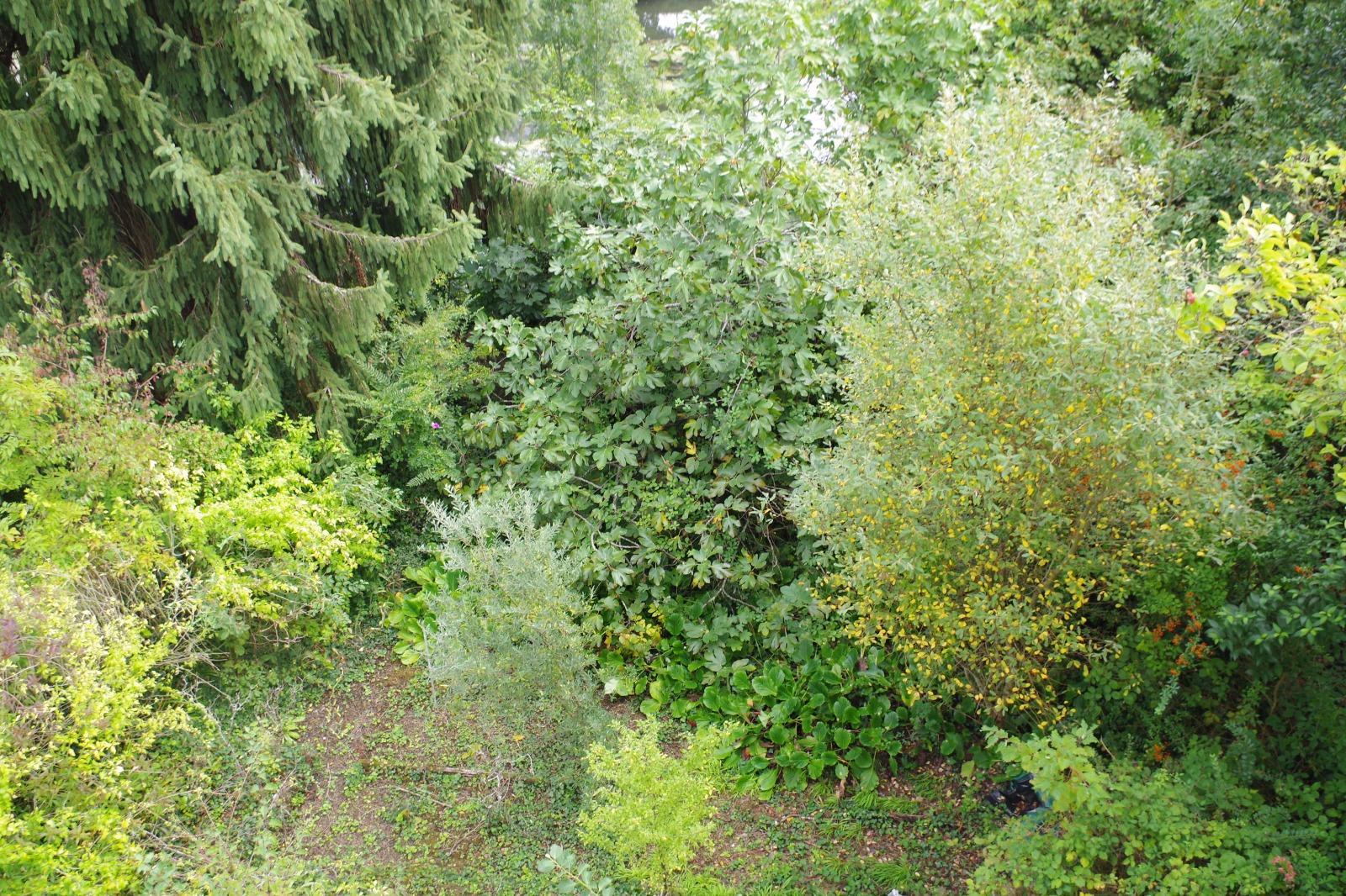 House à Coulounieix-Chamiers — vignette 17