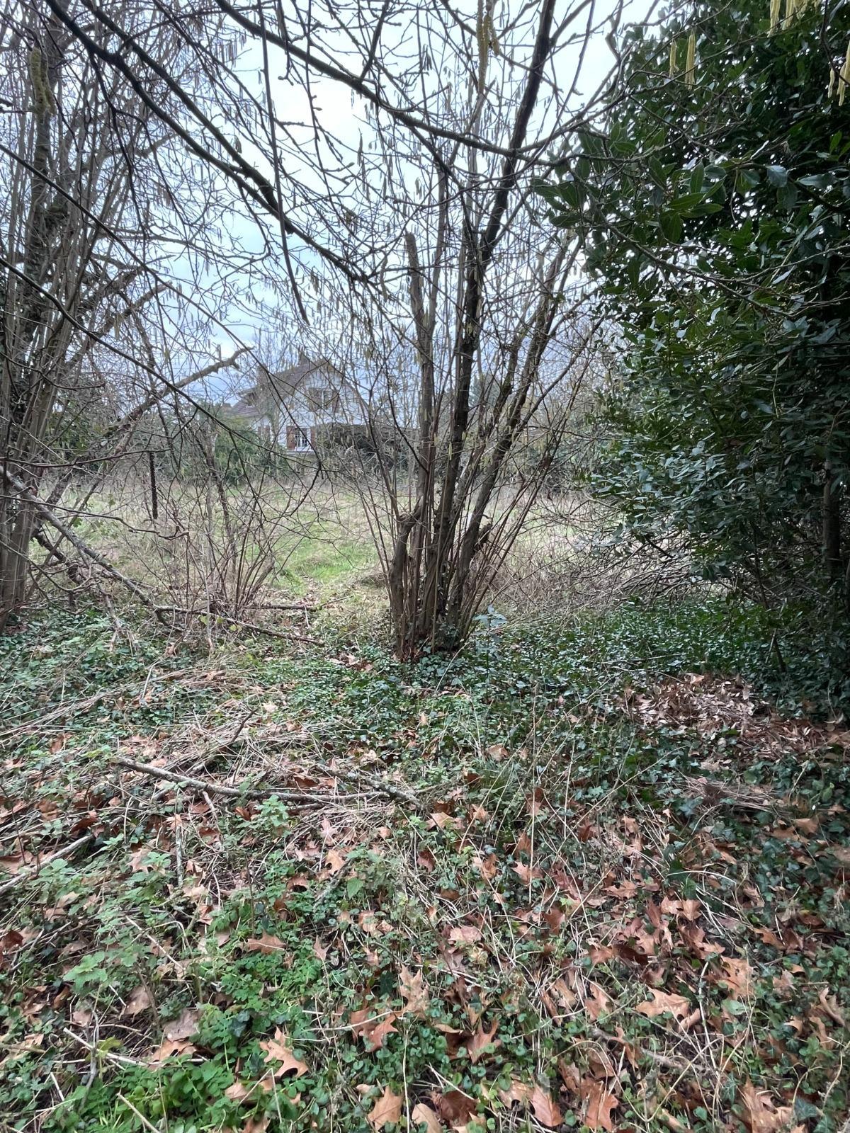 Maison à Breuillet — vignette 13