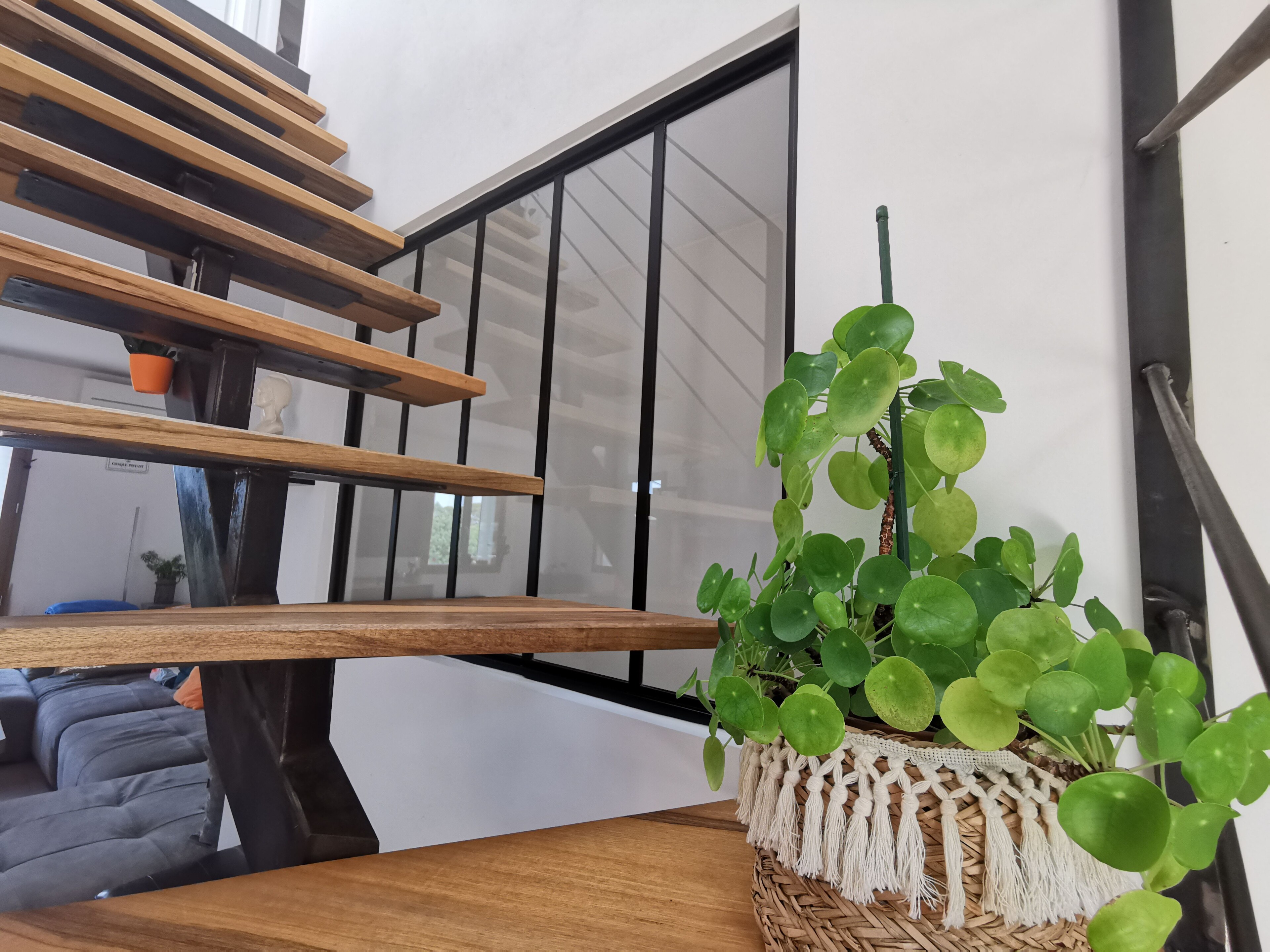 House à Castelnau-le-Lez — vignette 5