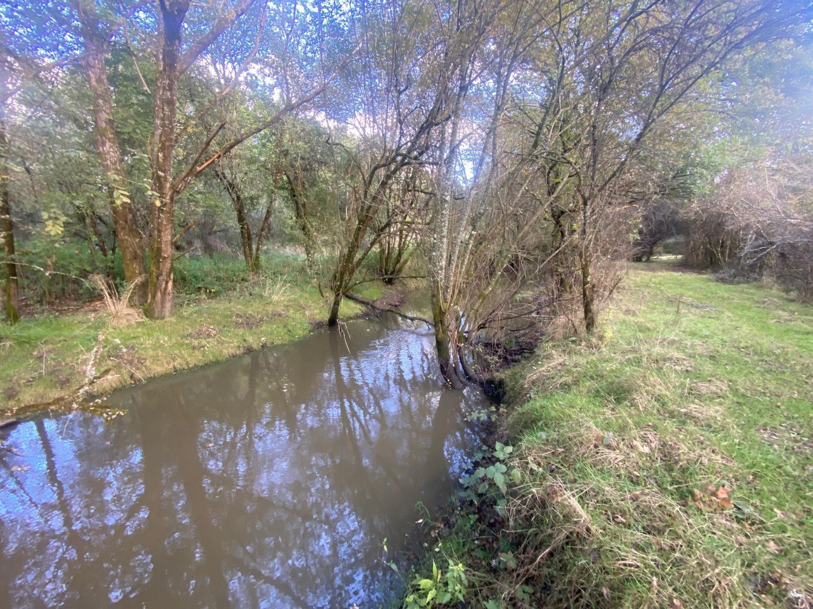 Terrain de Loisirs – Bois - Étang à Neung-sur-Beuvron — vignette 5