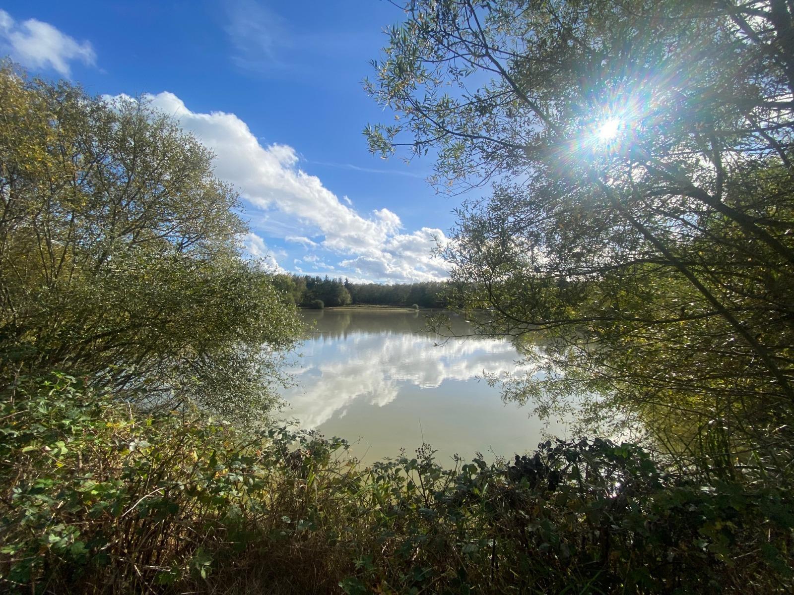 Terrain de Loisirs – Bois - Étang à Neung-sur-Beuvron — vignette 7