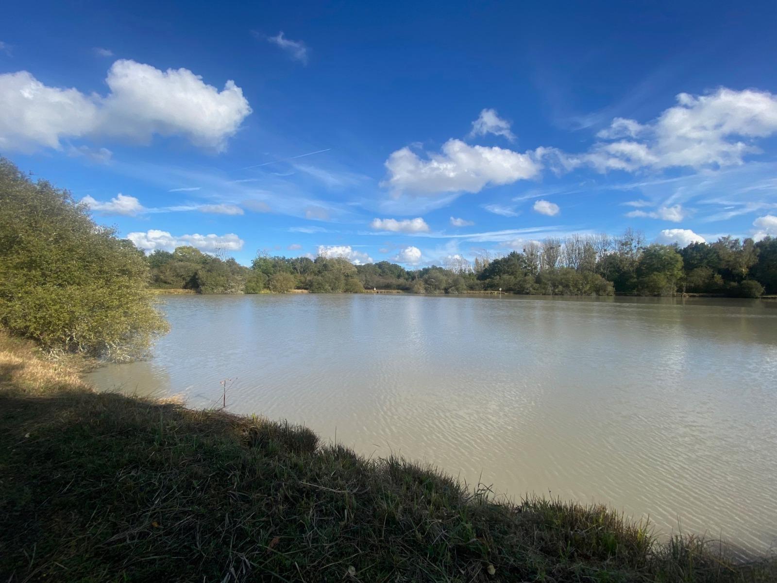 Terrain de Loisirs – Bois - Étang à Neung-sur-Beuvron — vignette 11
