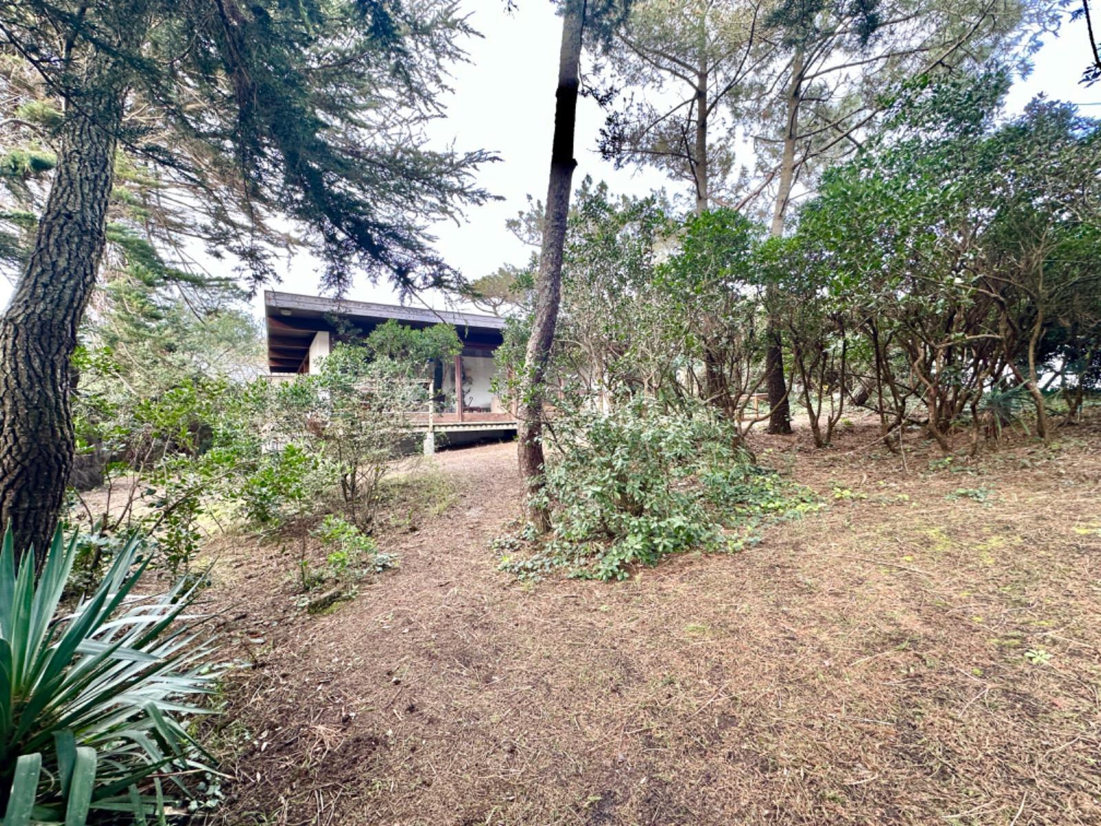 Maison à Lège-Cap-Ferret — vignette 9