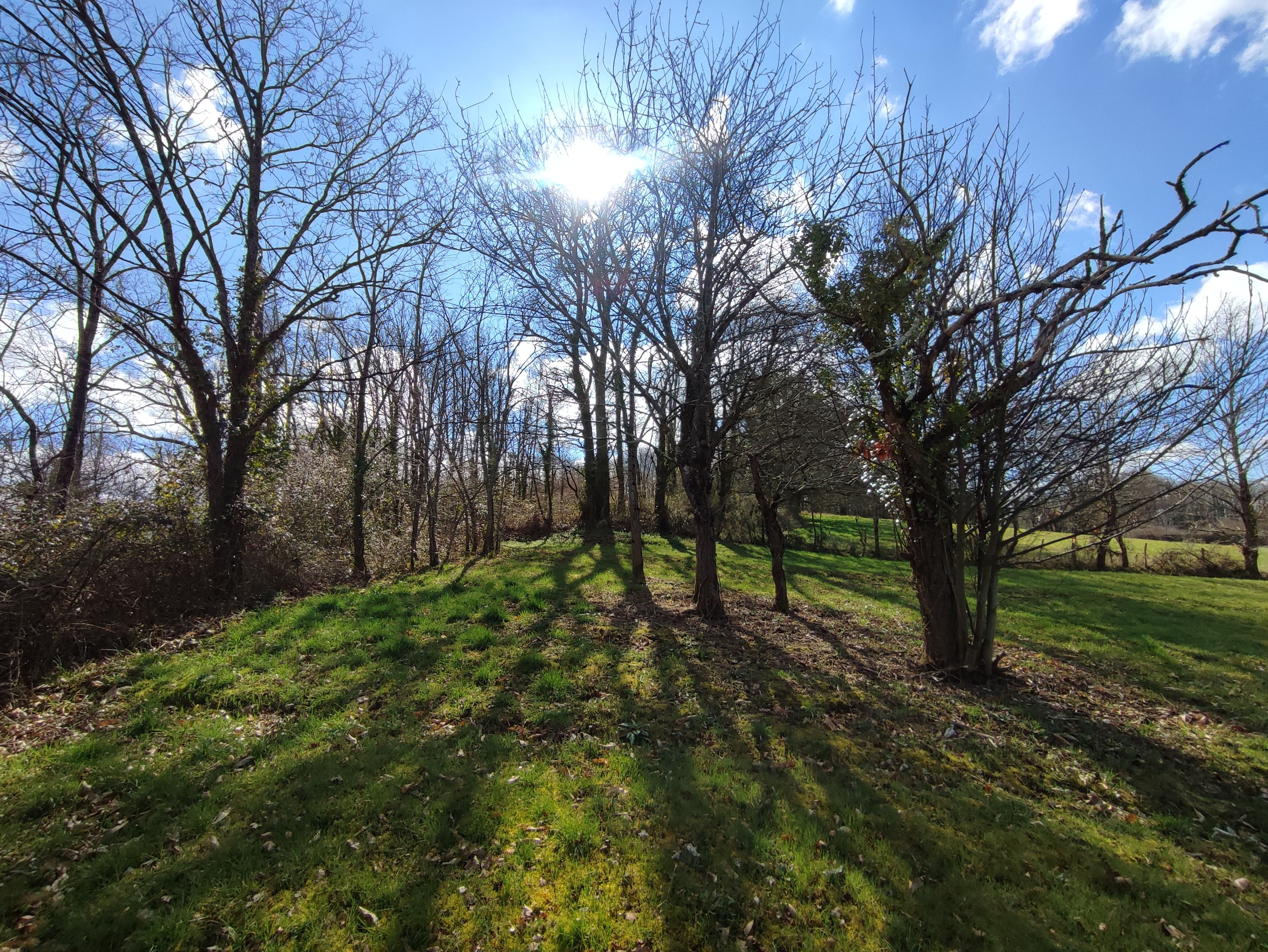 Terrain à Bâtir à Queaux — vignette 5