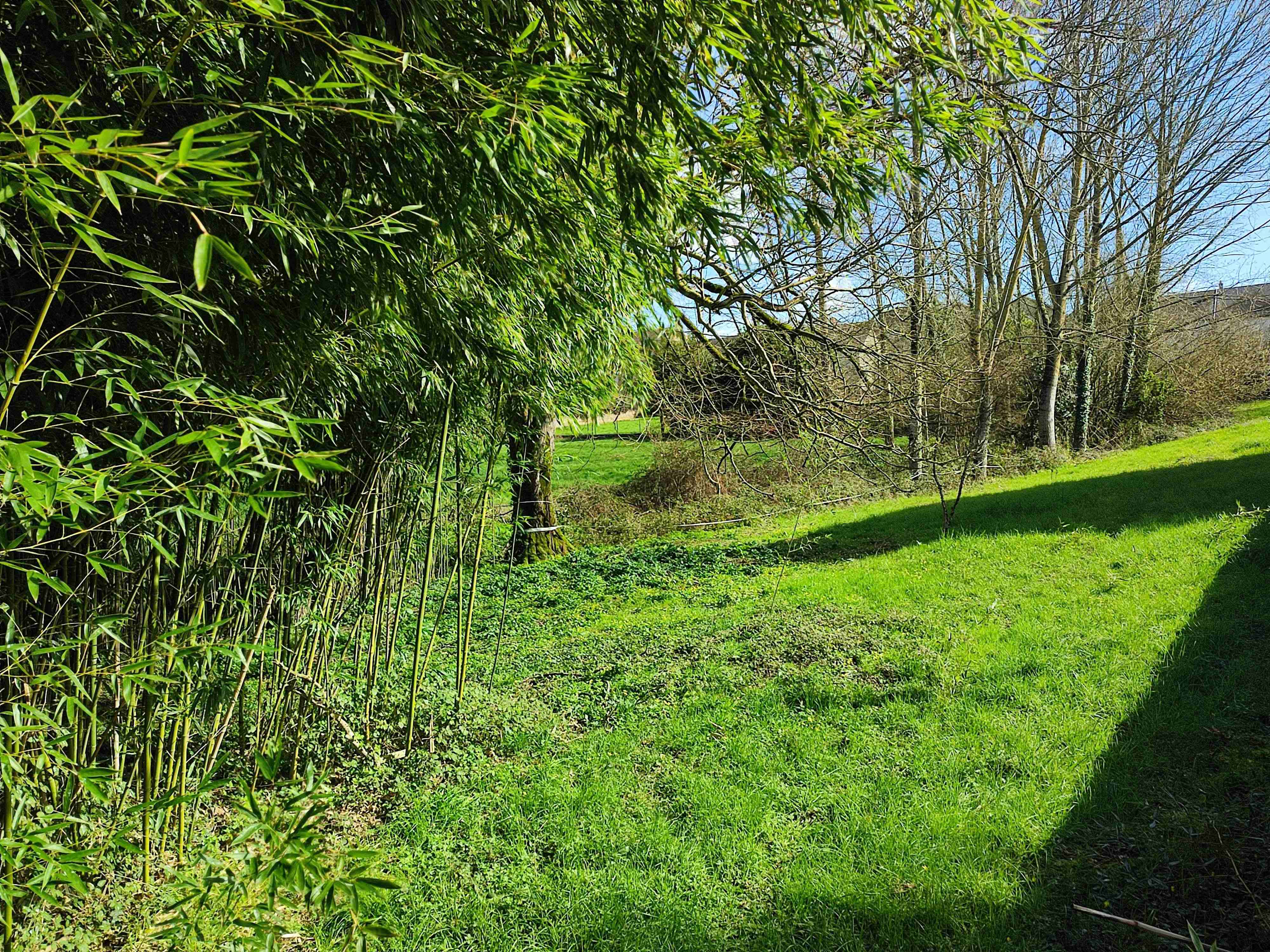 Immeuble à L'Isle-Jourdain — vignette 12