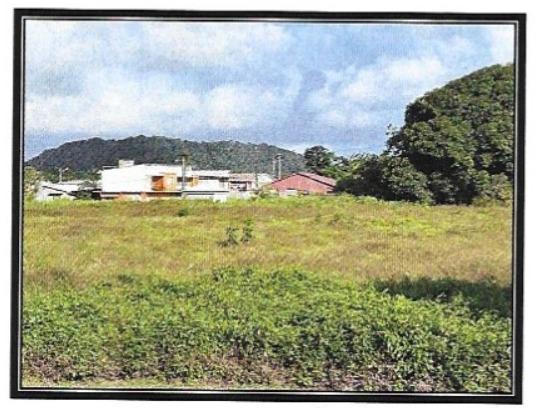 Terrain à Bâtir à Cayenne — vignette 3