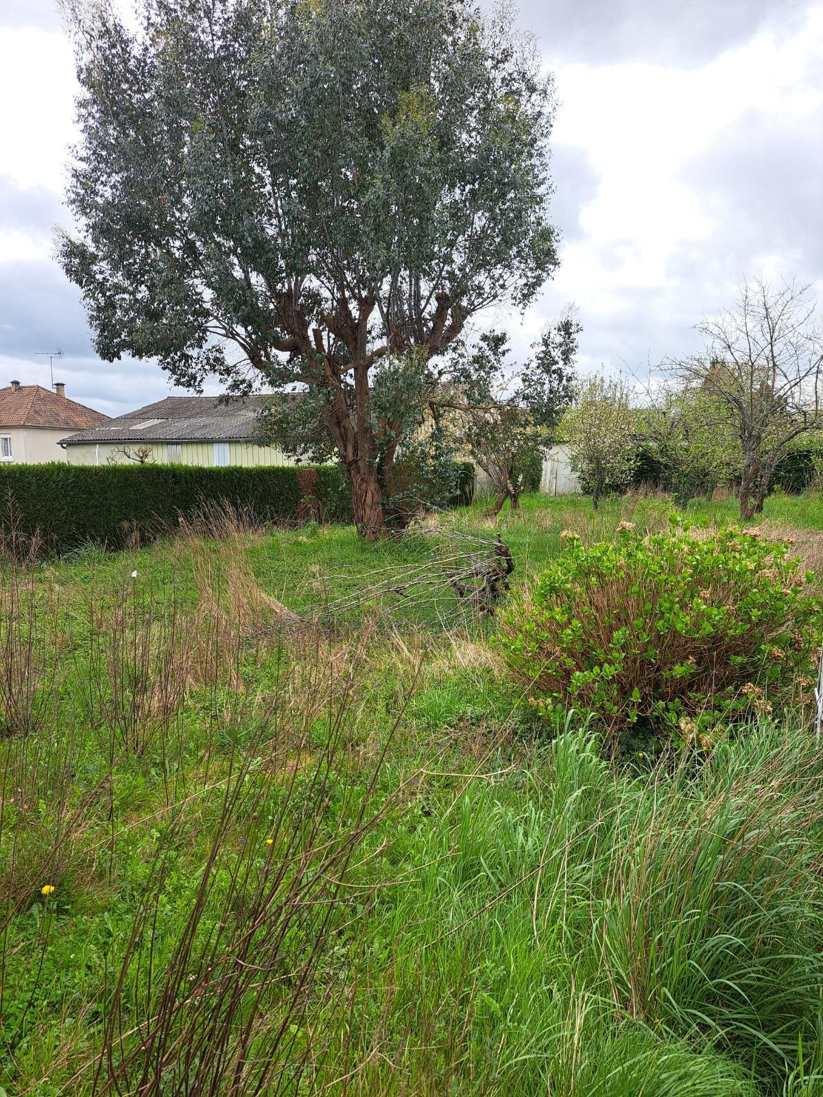 House à Sillé-le-Guillaume — vignette 14