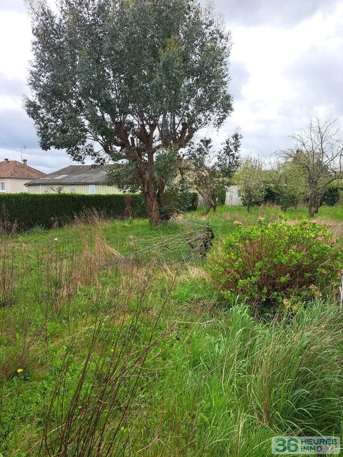 House à Sillé-le-Guillaume — vignette 14