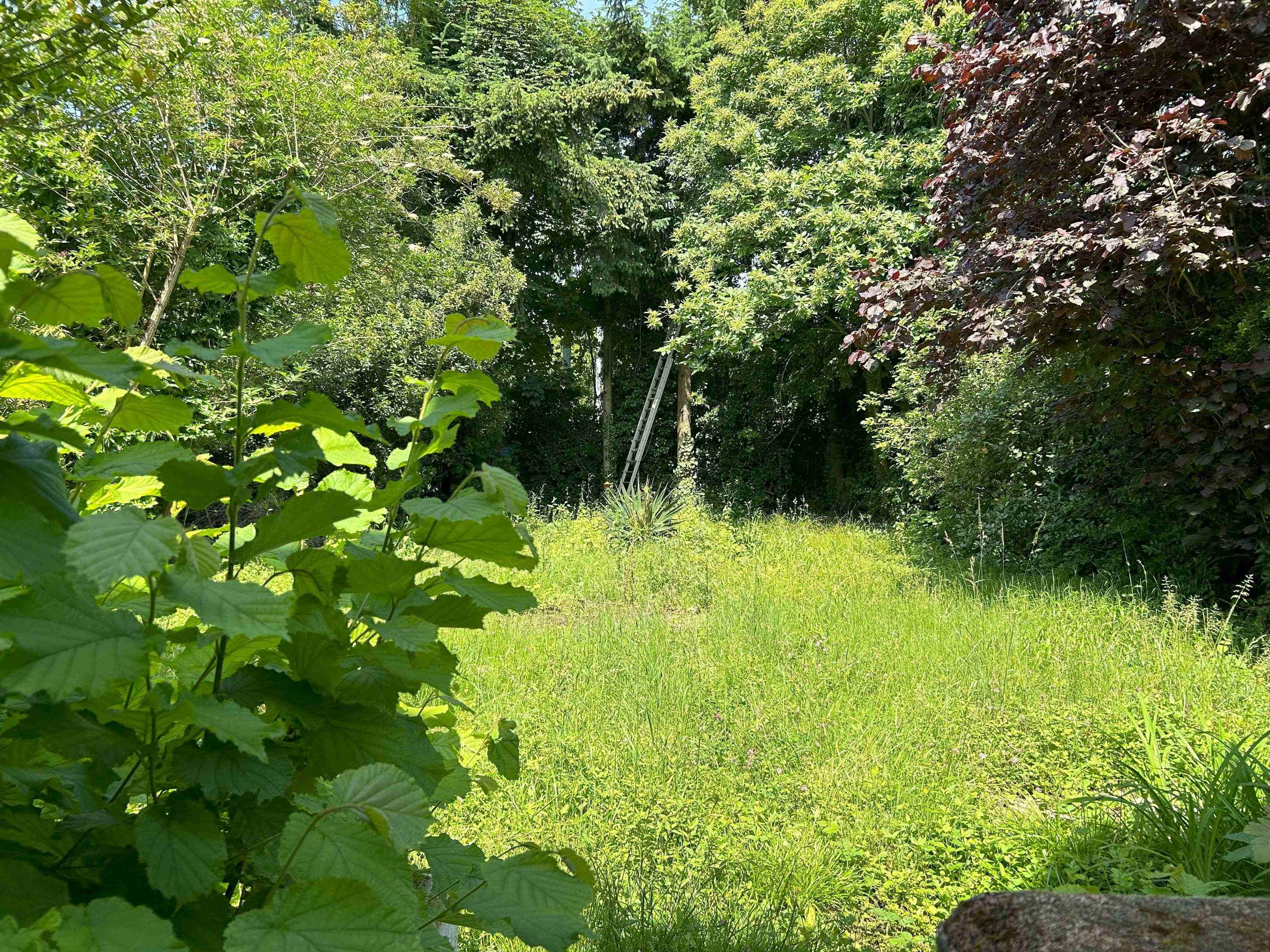 Maison à Antony — vignette 7