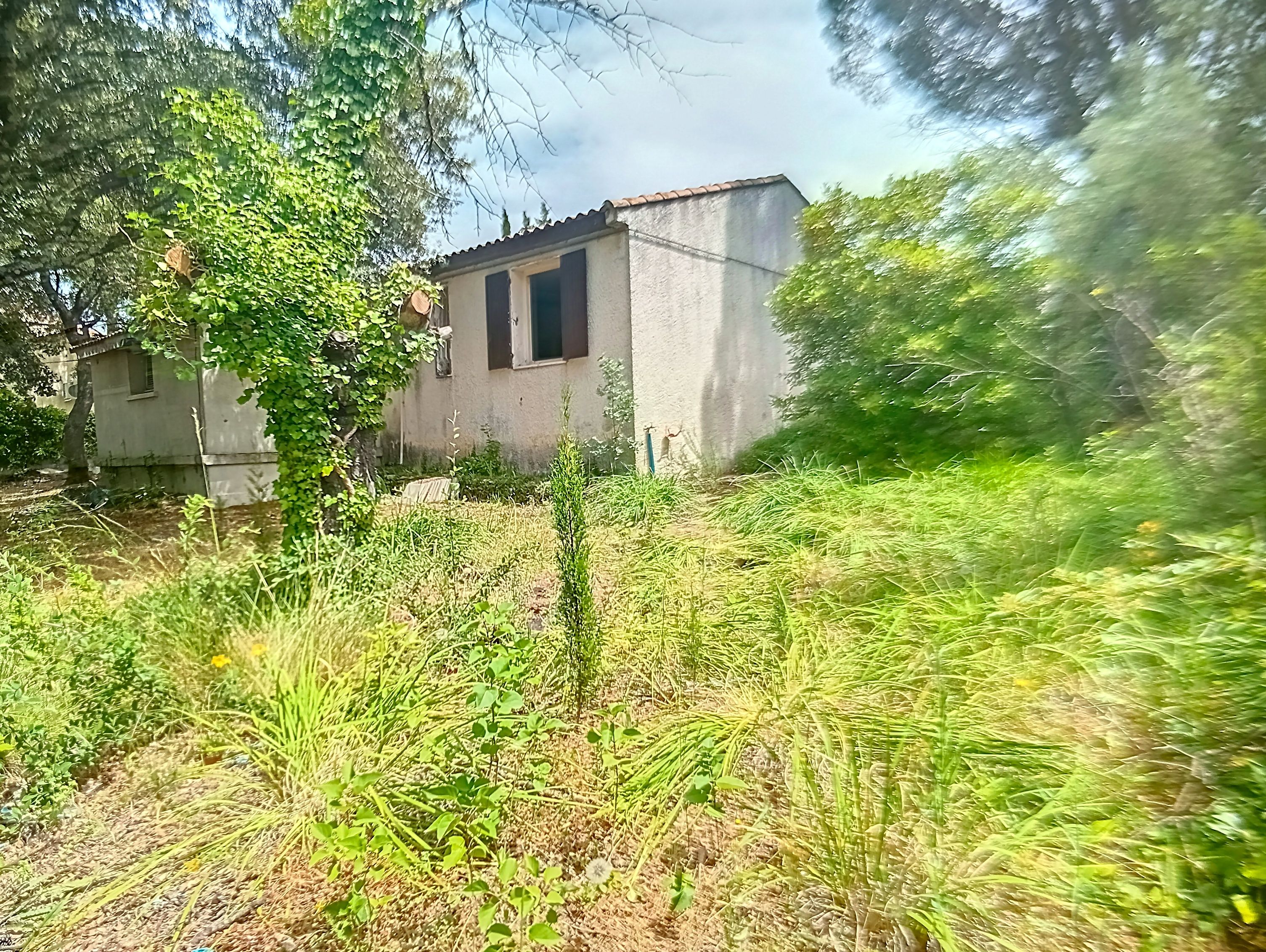 House à Restinclières — vignette 4
