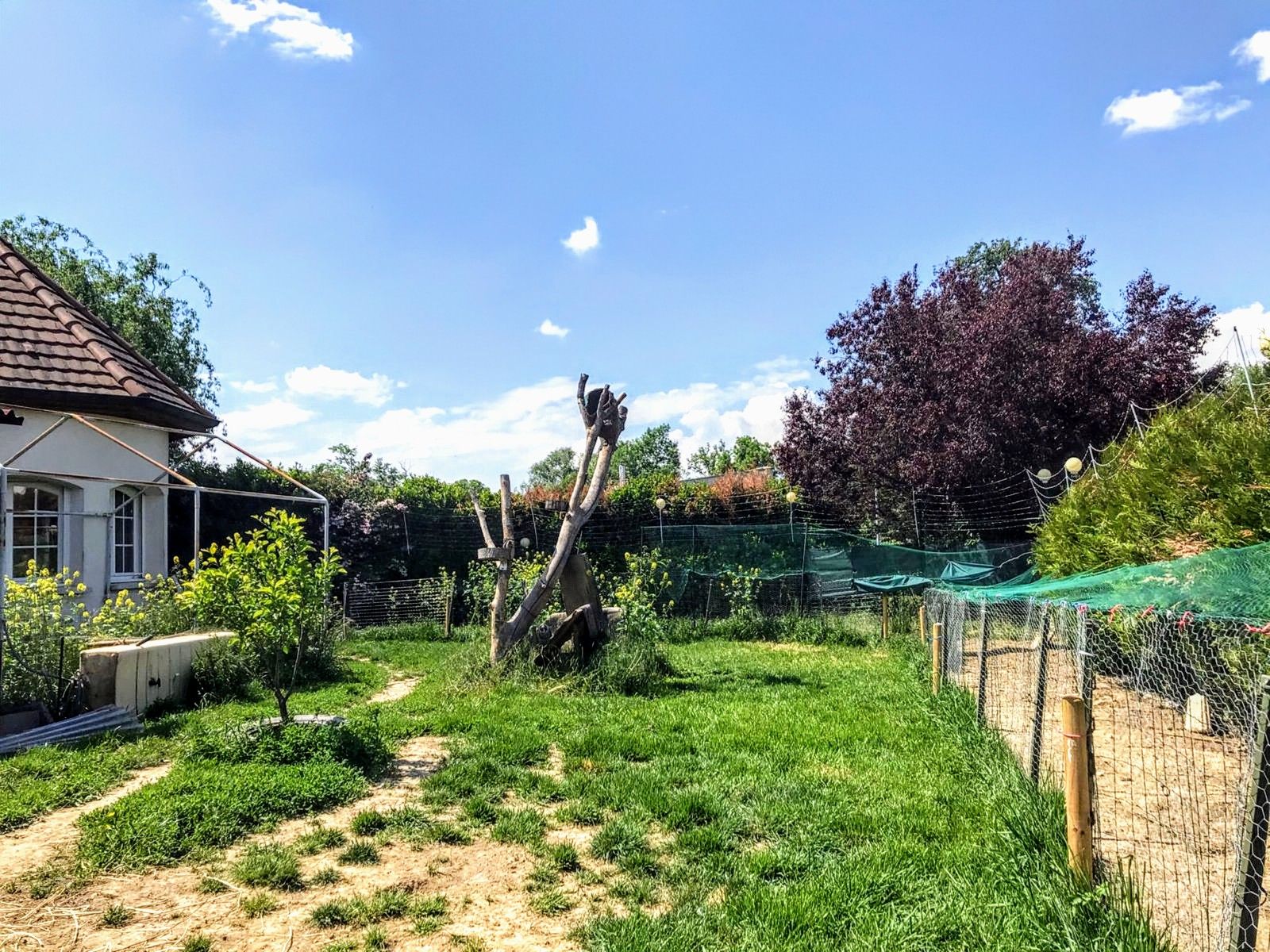 Propriété à Wahlbach — vignette 10
