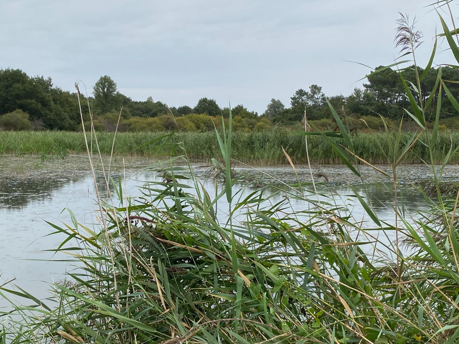 Propriété de chasse en Brenne