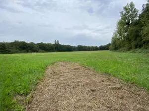 Estate à Azay-le-Ferron — vignette 2