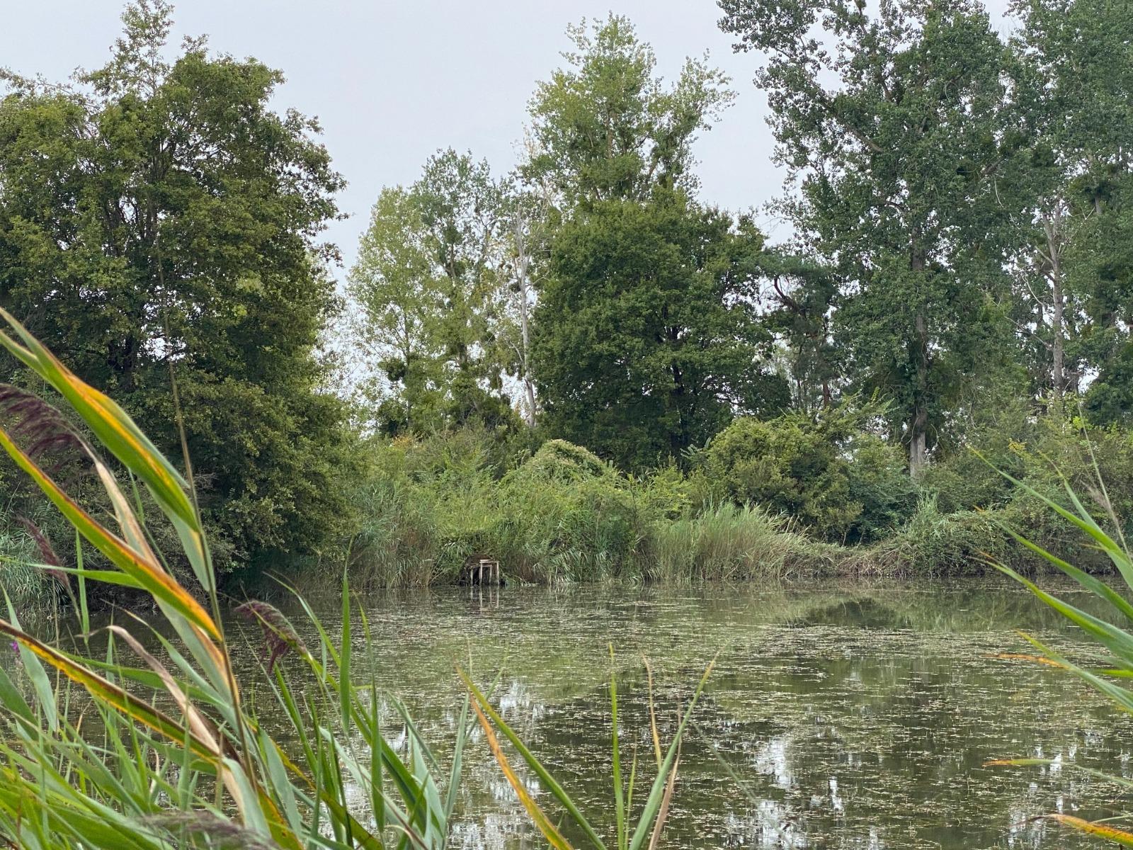 Propriété à Azay-le-Ferron — vignette 4