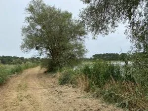 Estate à Azay-le-Ferron — vignette 5