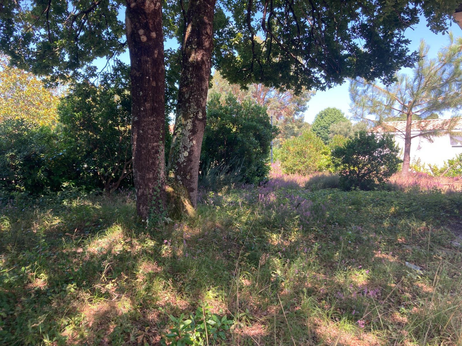 Maison à La Teste-de-Buch — vignette 2