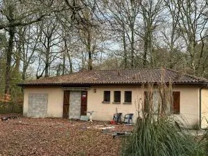 House à Pessac — vignette 2