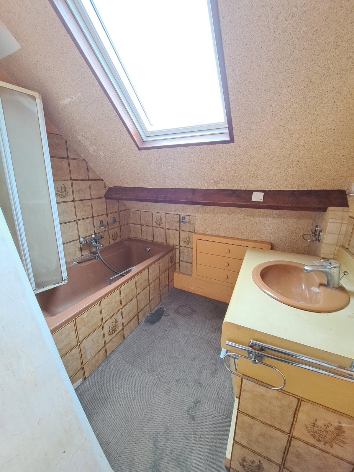 House à Le Mans — vignette 8