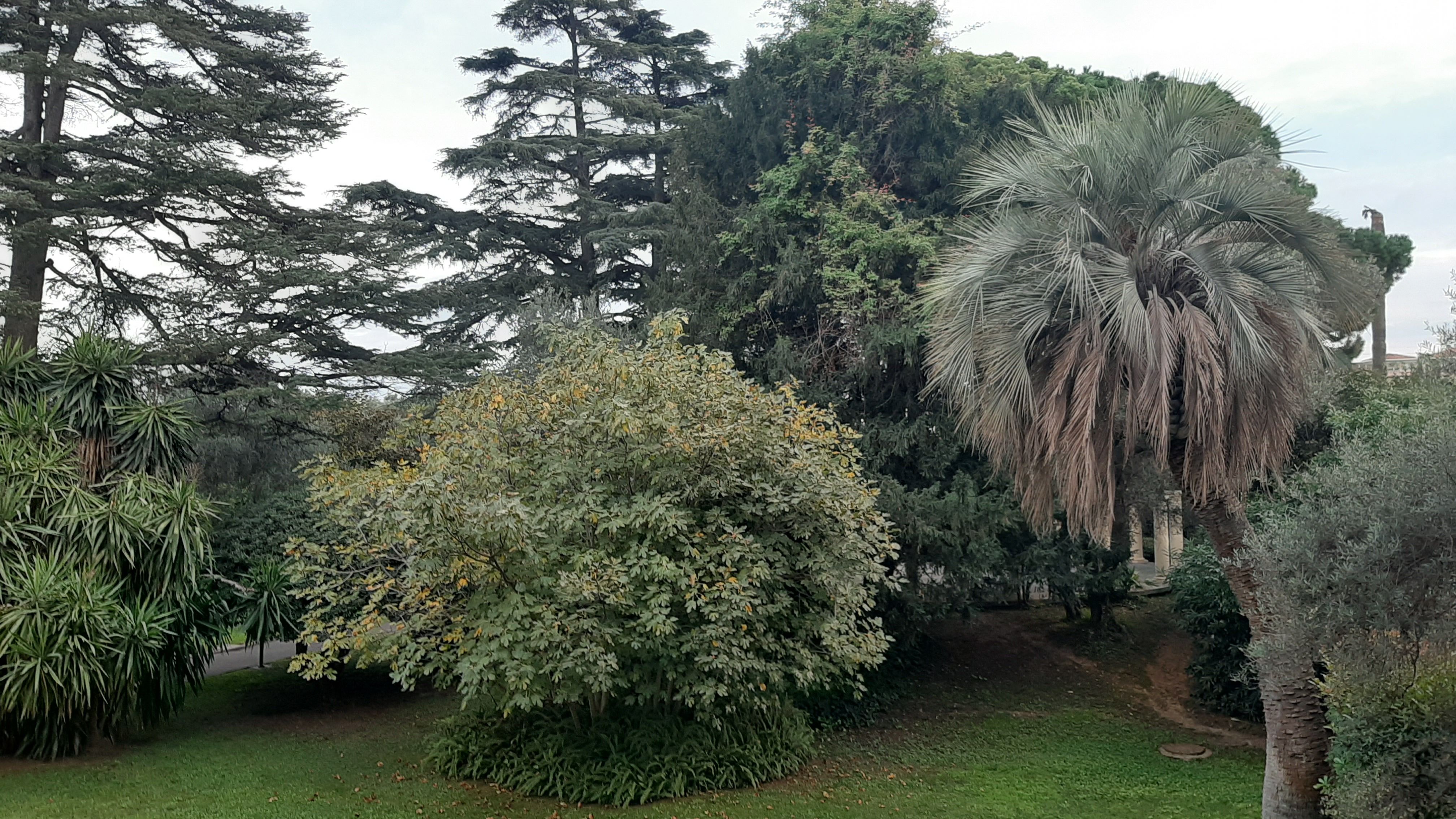 Appartement à Vallauris — vignette 5