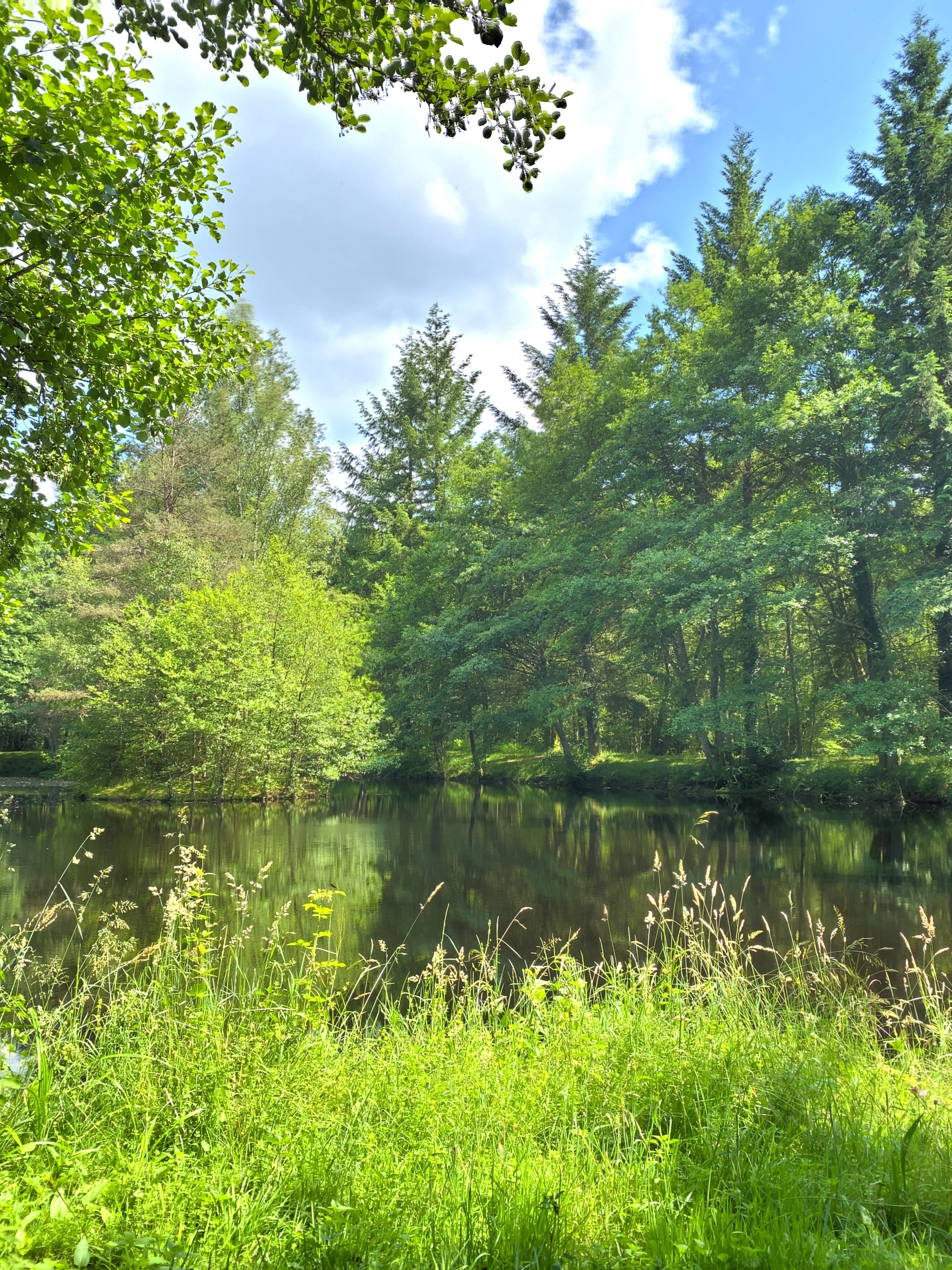 Propriété à Champeau-en-Morvan — vignette 2