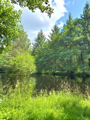 Estate à Champeau-en-Morvan — vignette 2