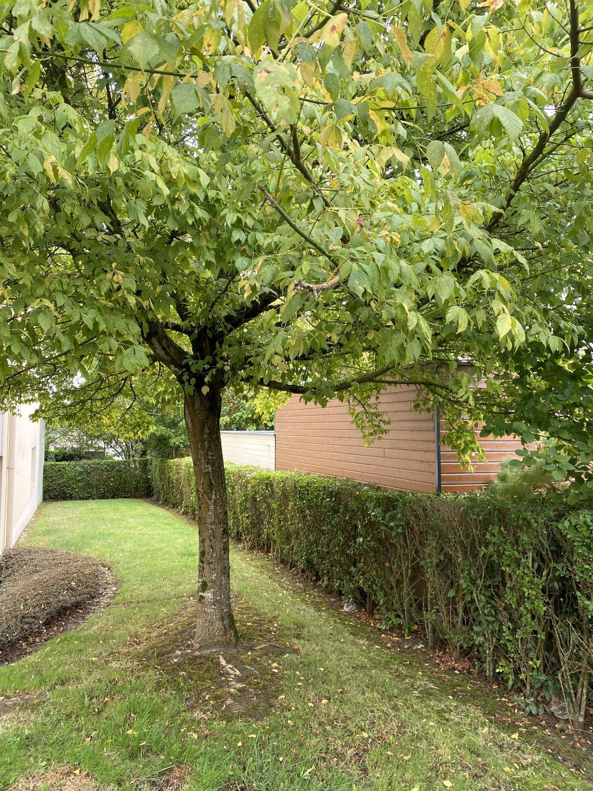 Appartement à Angers — vignette 4