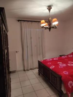 House à L'Isle-d'Abeau — vignette 6