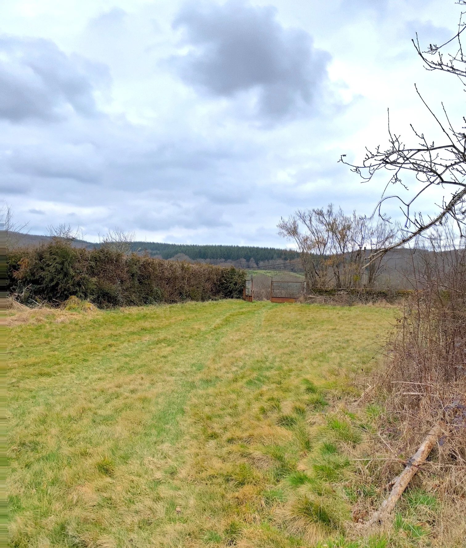 A VENDRE ENTREPÔT SUR 7 000m² de TERRAIN